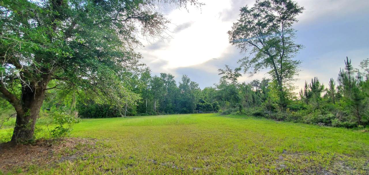 78.7 acres Vacant Mt Gilead Road - Photo 1