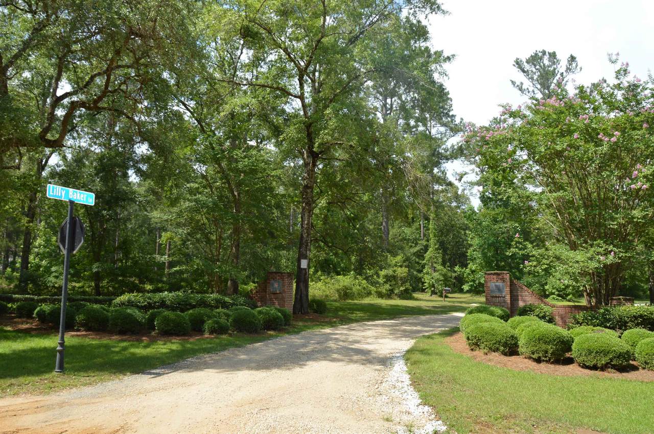 Lilly Baker Lane - Photo 1