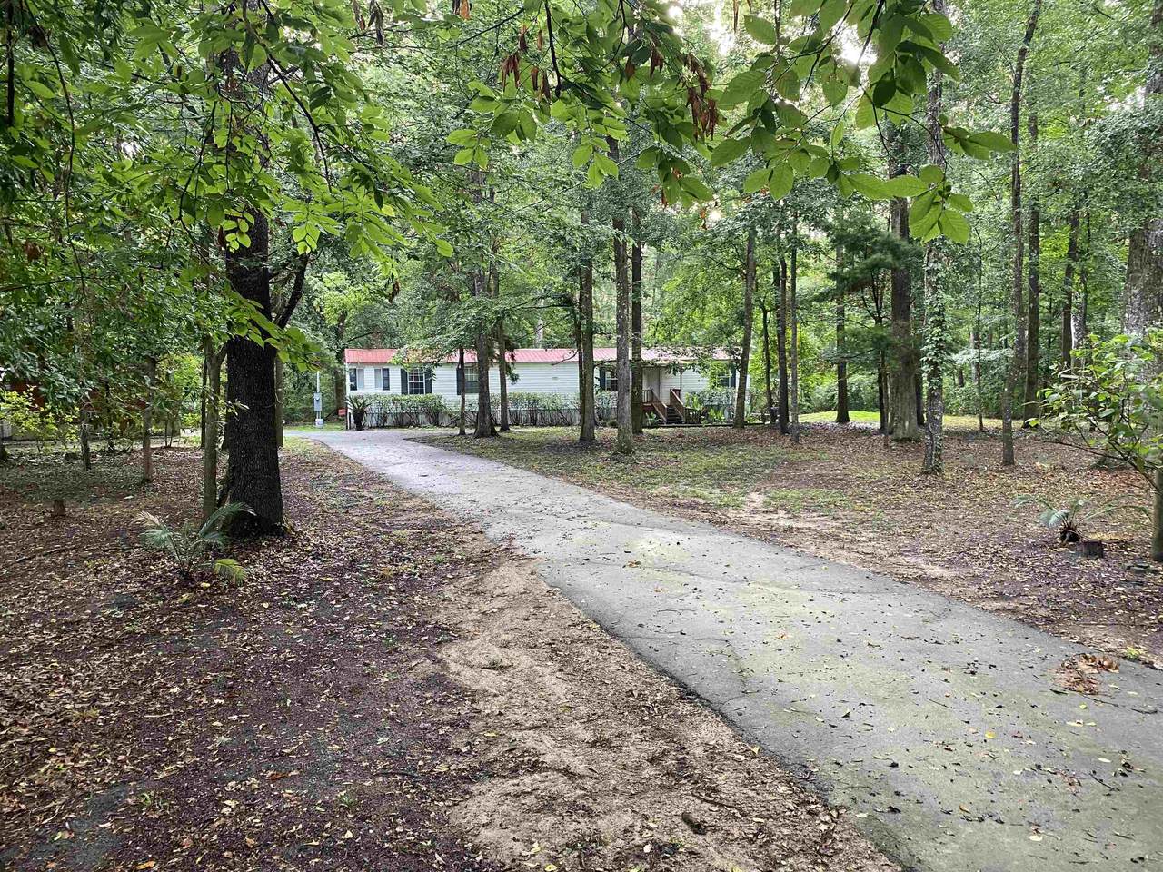 1724 Casa Bianca Road - Photo 1