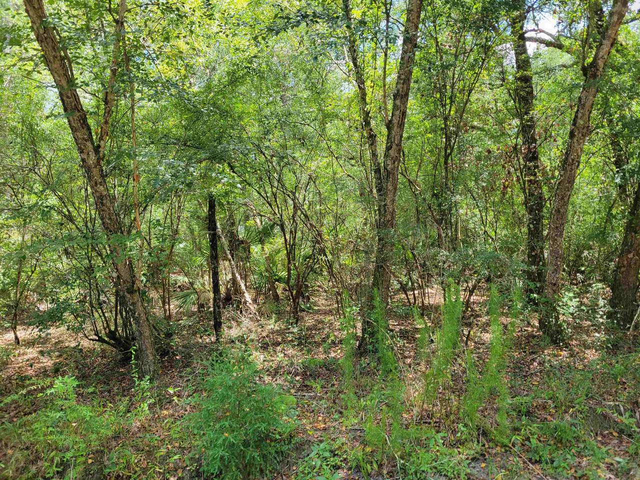 00 Hurst Drive - Photo 1