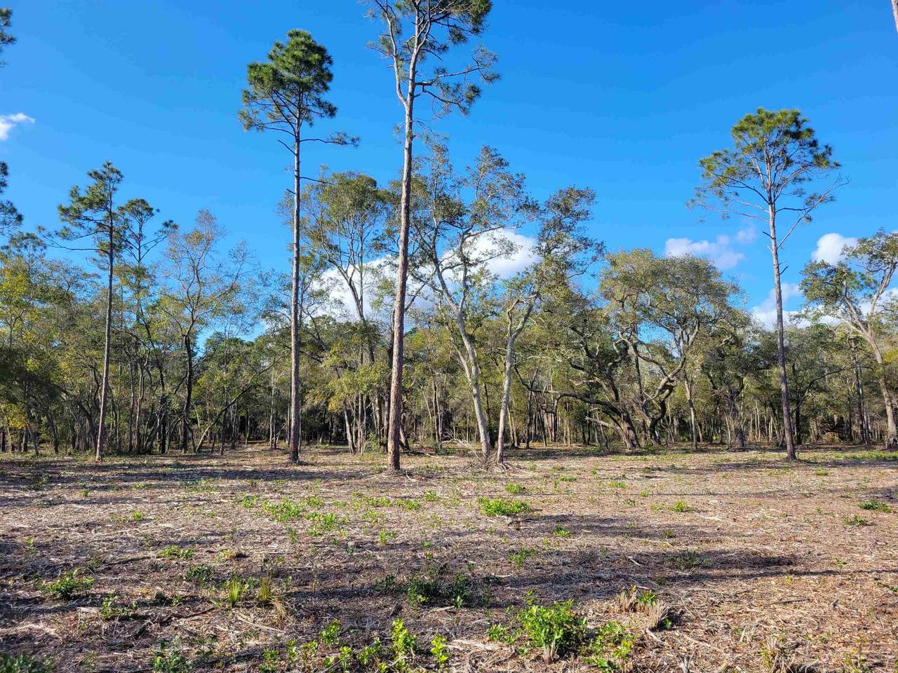 Lot 24 Pelican Way - Photo 1
