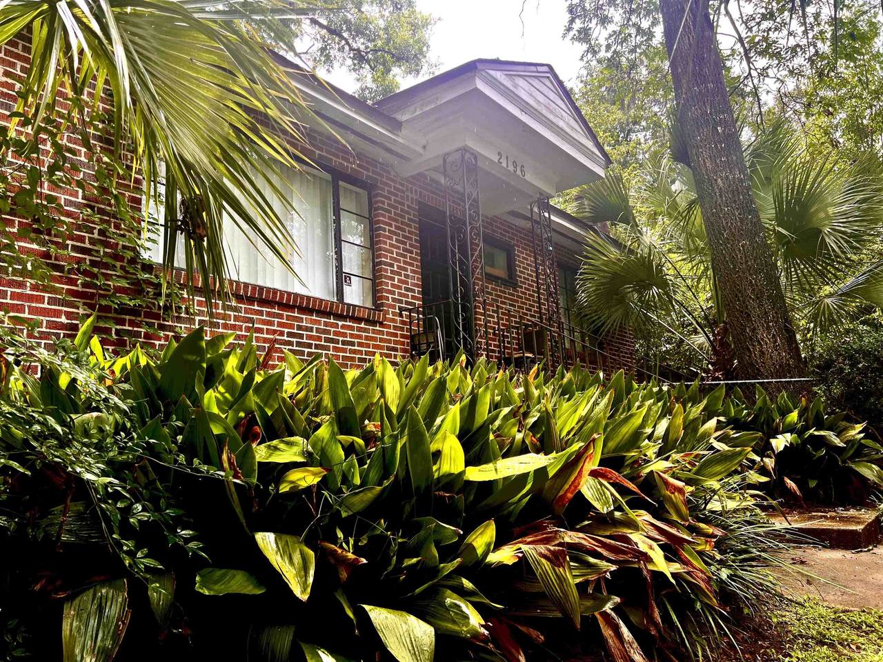 2196 Amelia Circle Circle - Photo 1