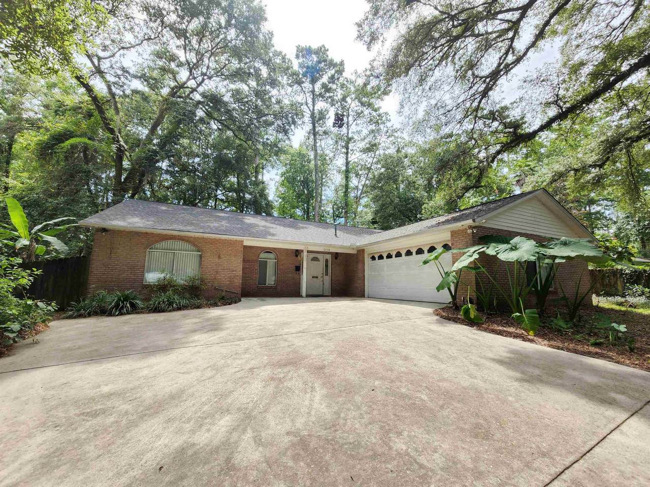 2110 High Road - Photo 1