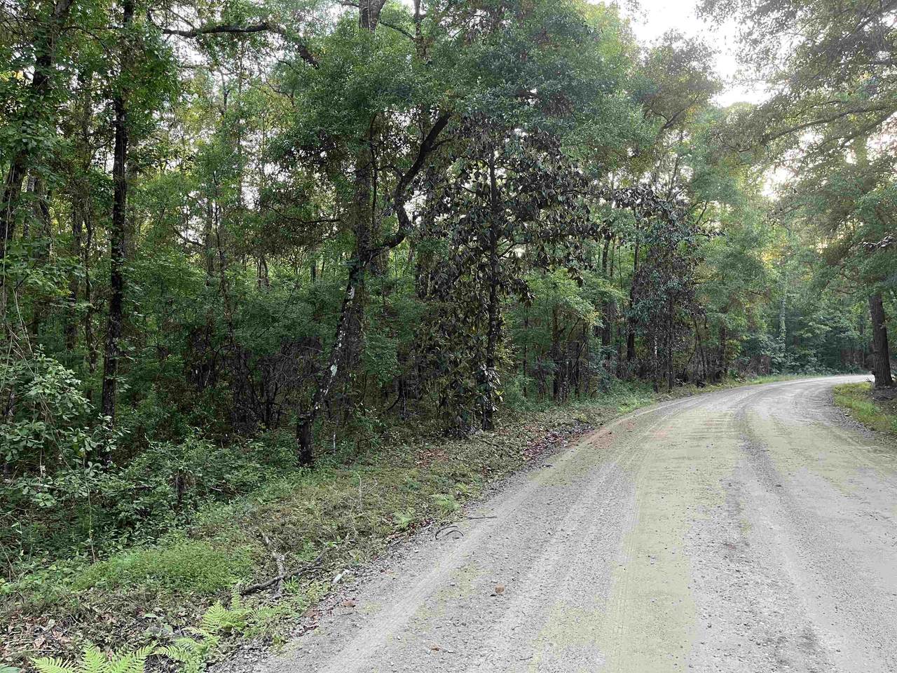 XX Curtis Mills Road - Photo 1