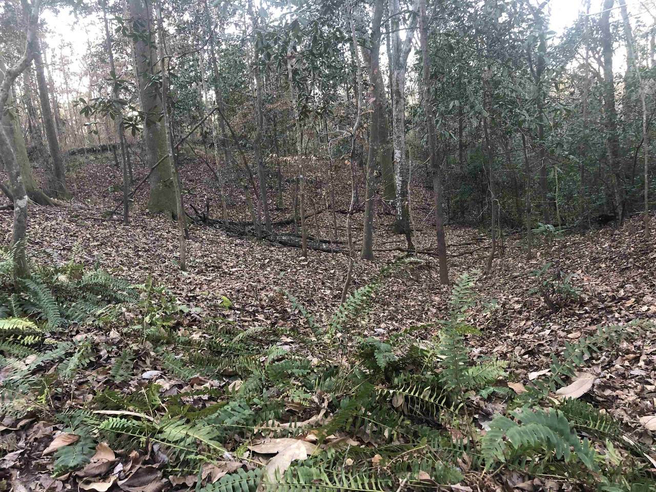 355 Upland Farm Road - Photo 1