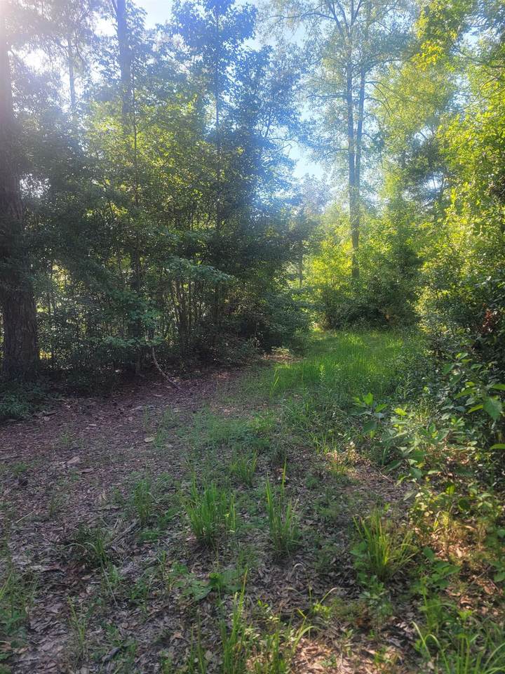 00 Lewis Road - Photo 1