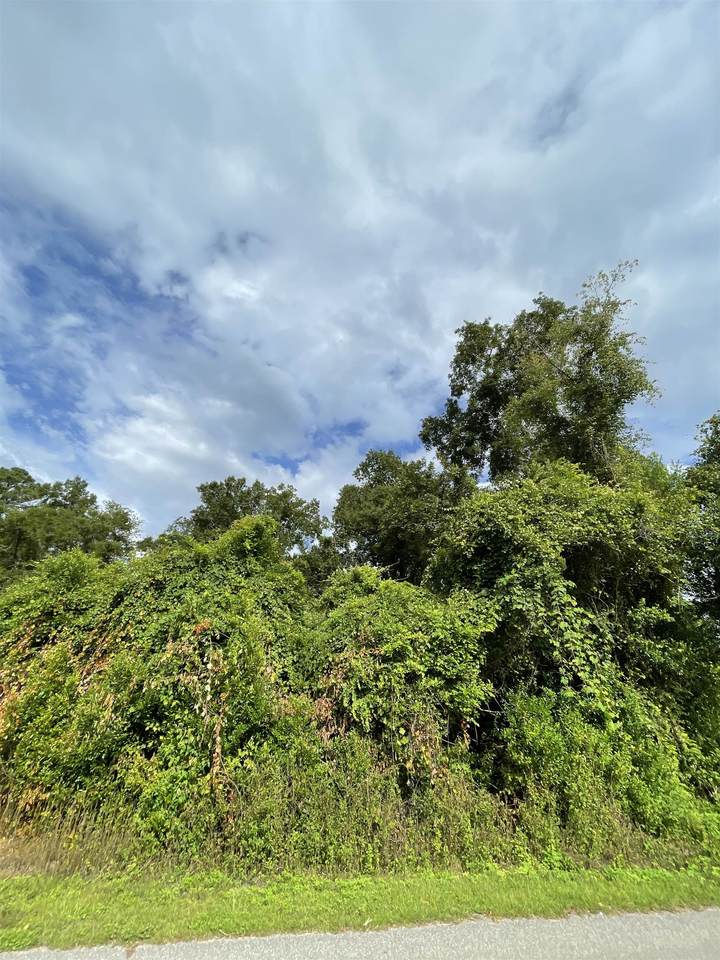 000 Richardson Road - Photo 1
