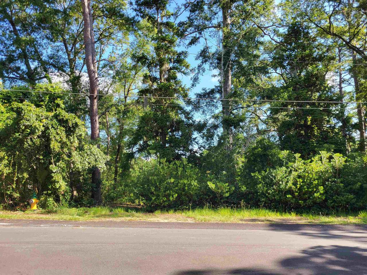 1204 Mimosa Drive - Photo 1