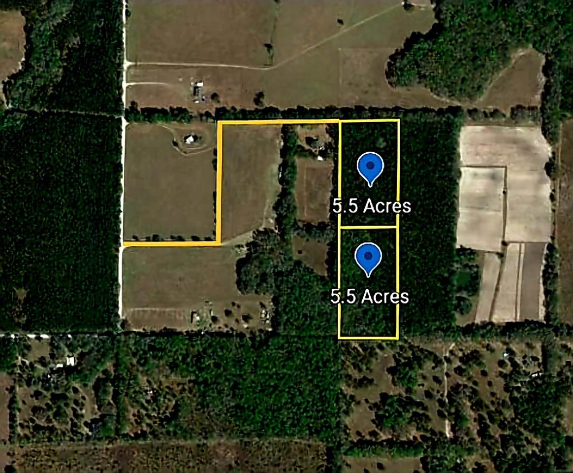 4236 Wash Davis Road - Photo 1
