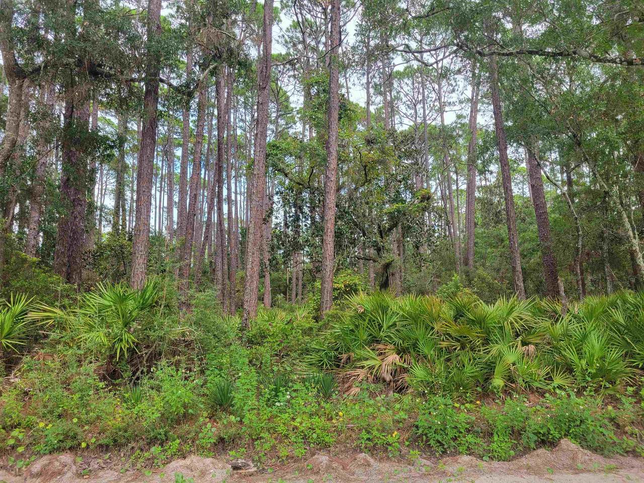 Lots 6-8 Alapaha Avenue - Photo 1