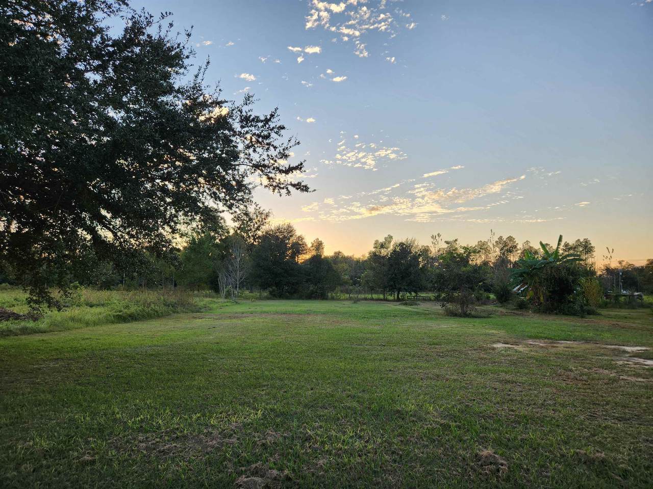 Lot 5 Twin Oaks Drive - Photo 1
