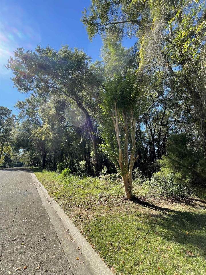 Vacant Fraleigh Drive - Photo 1