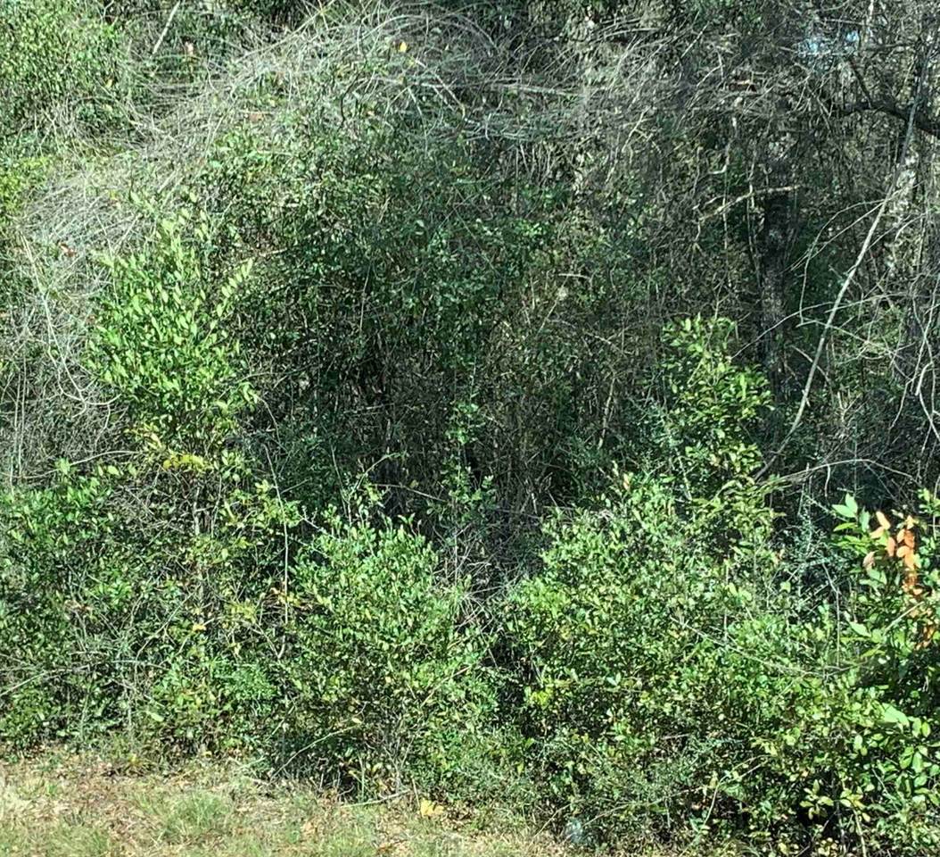 0000 Spring Creek Highway - Photo 1