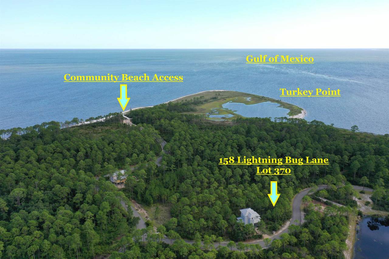 158 Lightning Bug Lane - Photo 1