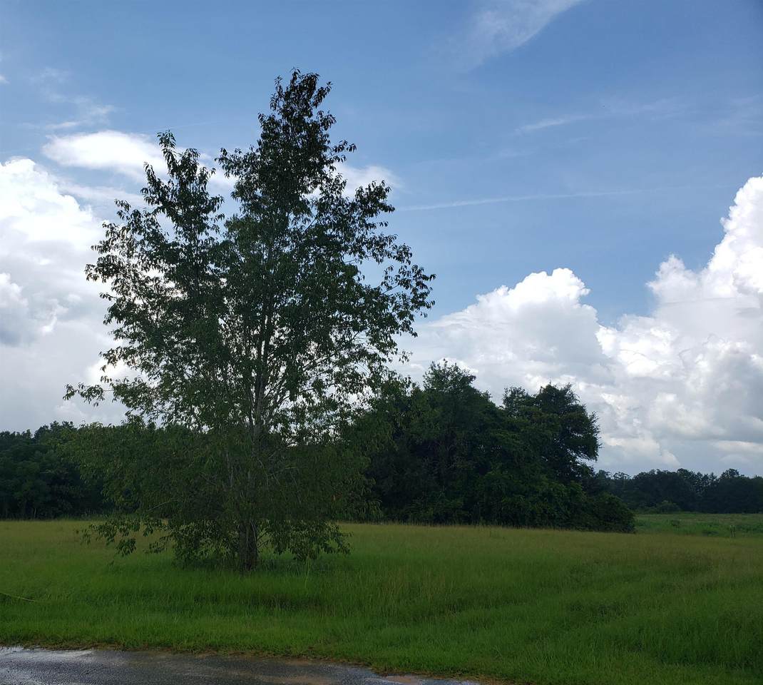 Lot 30 Hill Top Drive - Photo 1
