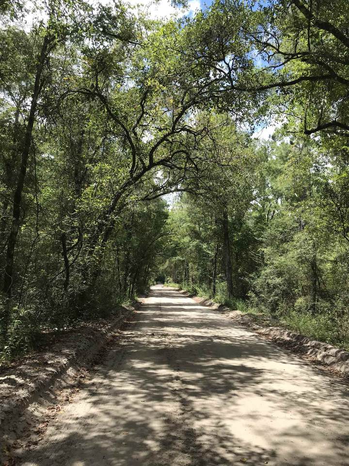 xx Andrew Spears Road - Photo 1
