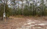 5206 57Th Court - Photo 5