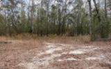 5206 57Th Court - Photo 1