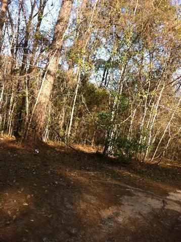 xx Ajax Tallahassee Lane - Photo 1