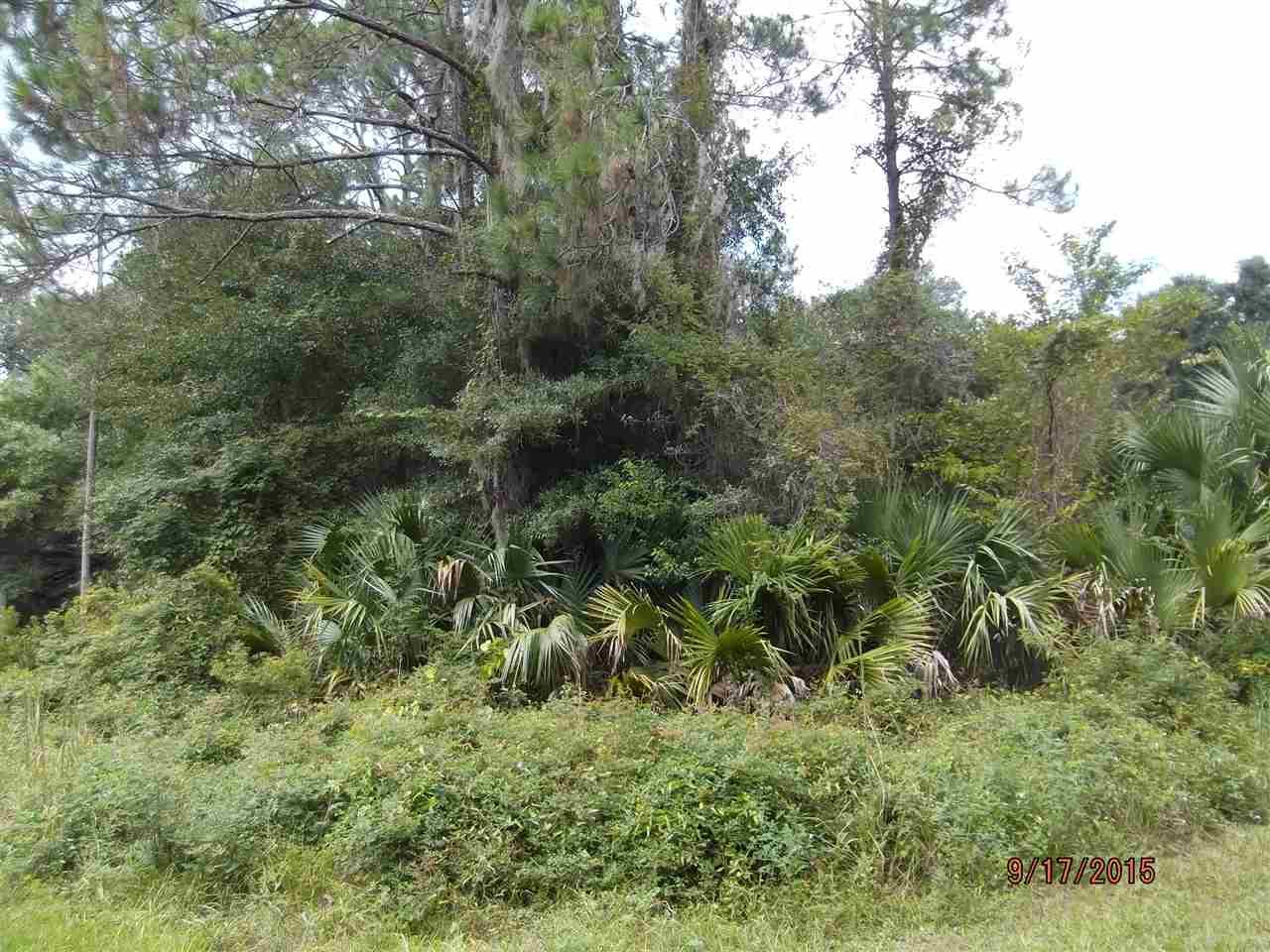 00 Faulkner Street - Photo 1