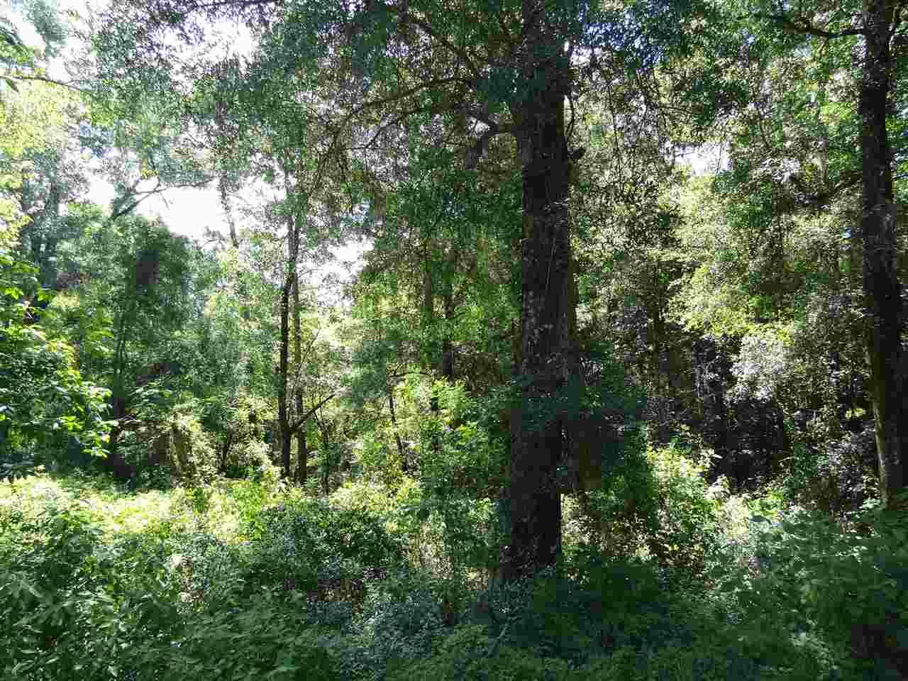 Collins Landing Road - Photo 1
