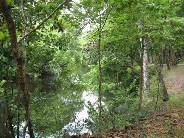 229 Seminole Ln - Photo 1