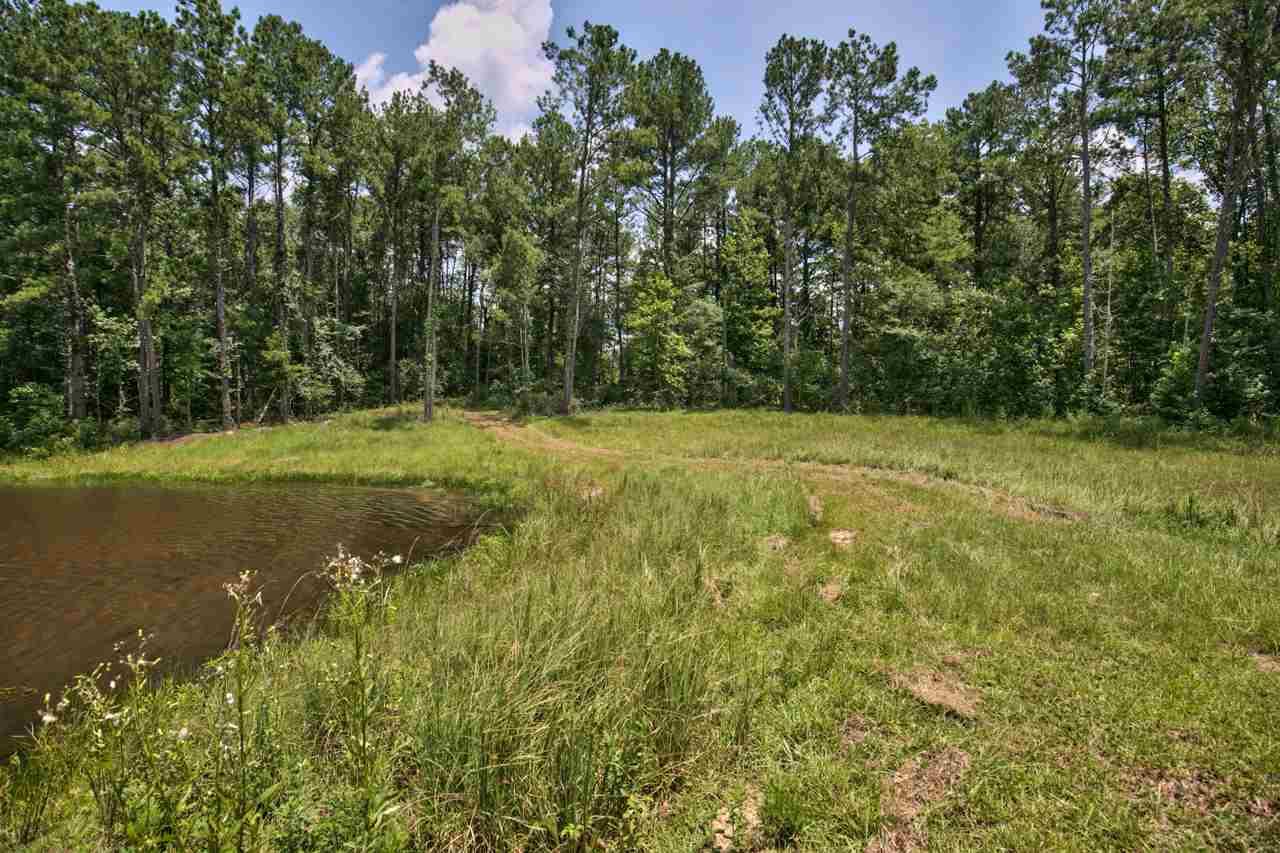 2973 Luten - Photo 1