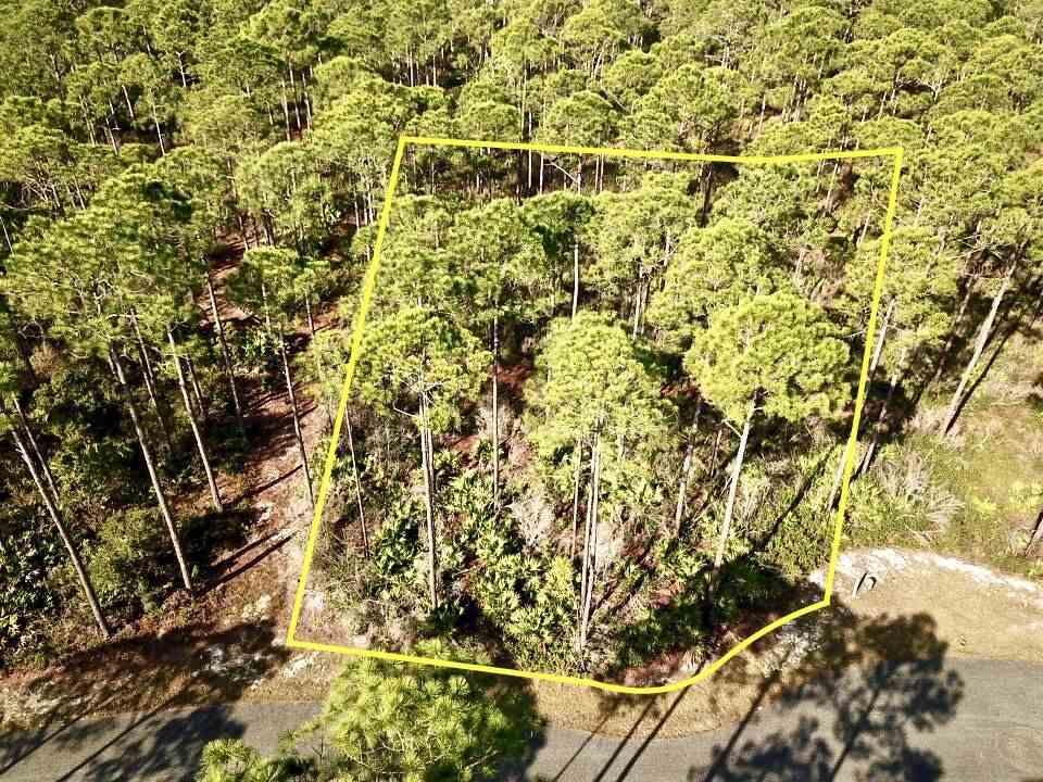 122 Treehouse Circle - Photo 1