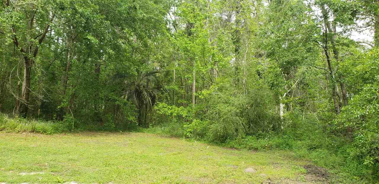 XXXX Thomasville Road - Photo 1