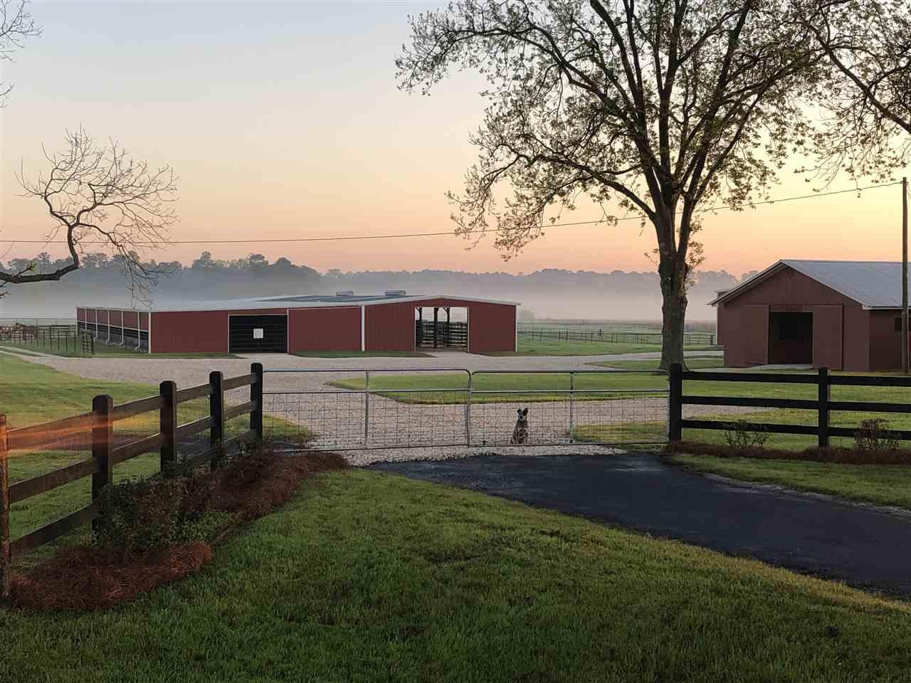 14695 E Ga Hwy 122 - Photo 1