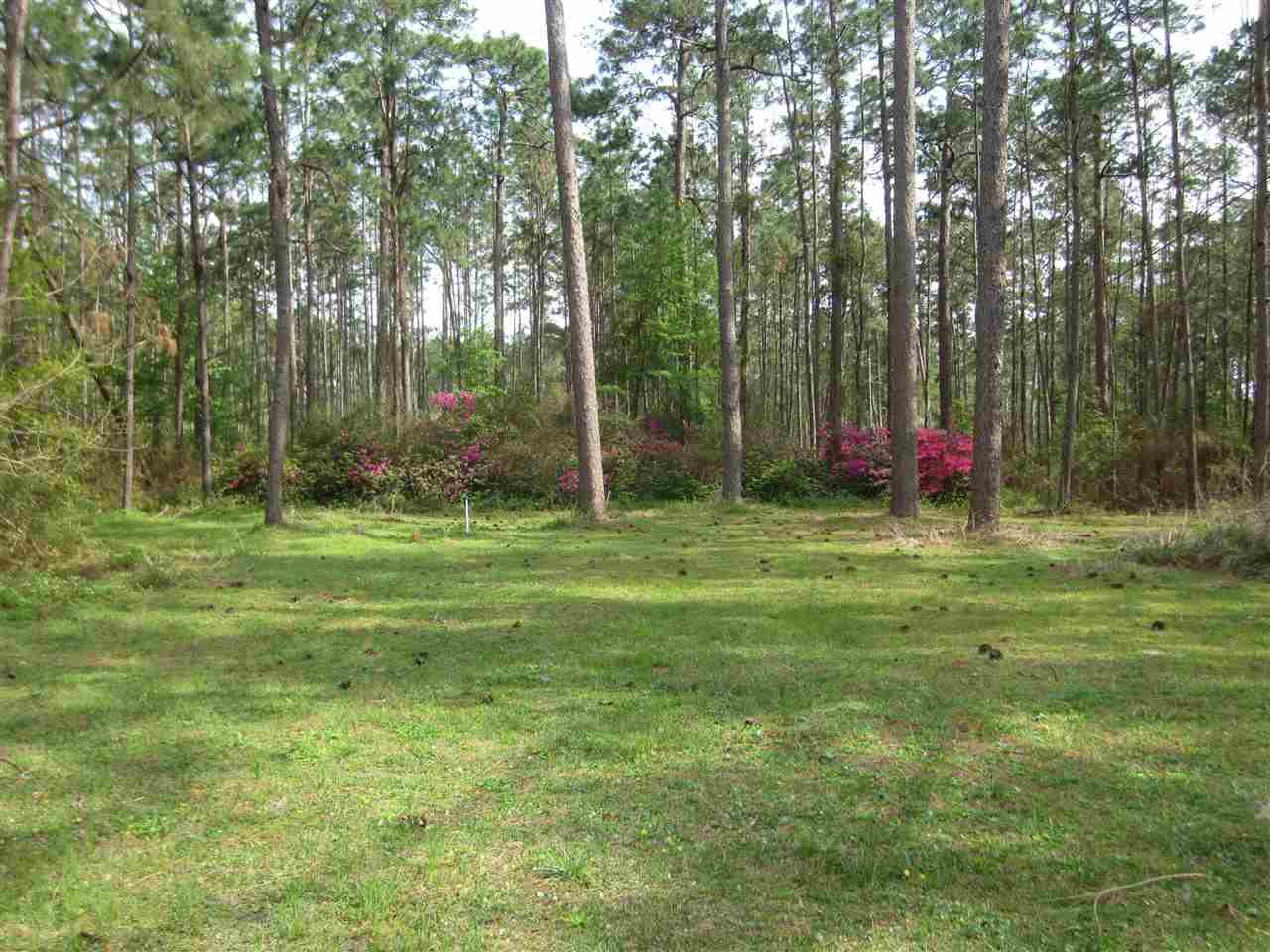 7067 Standing Pines Lane - Photo 1