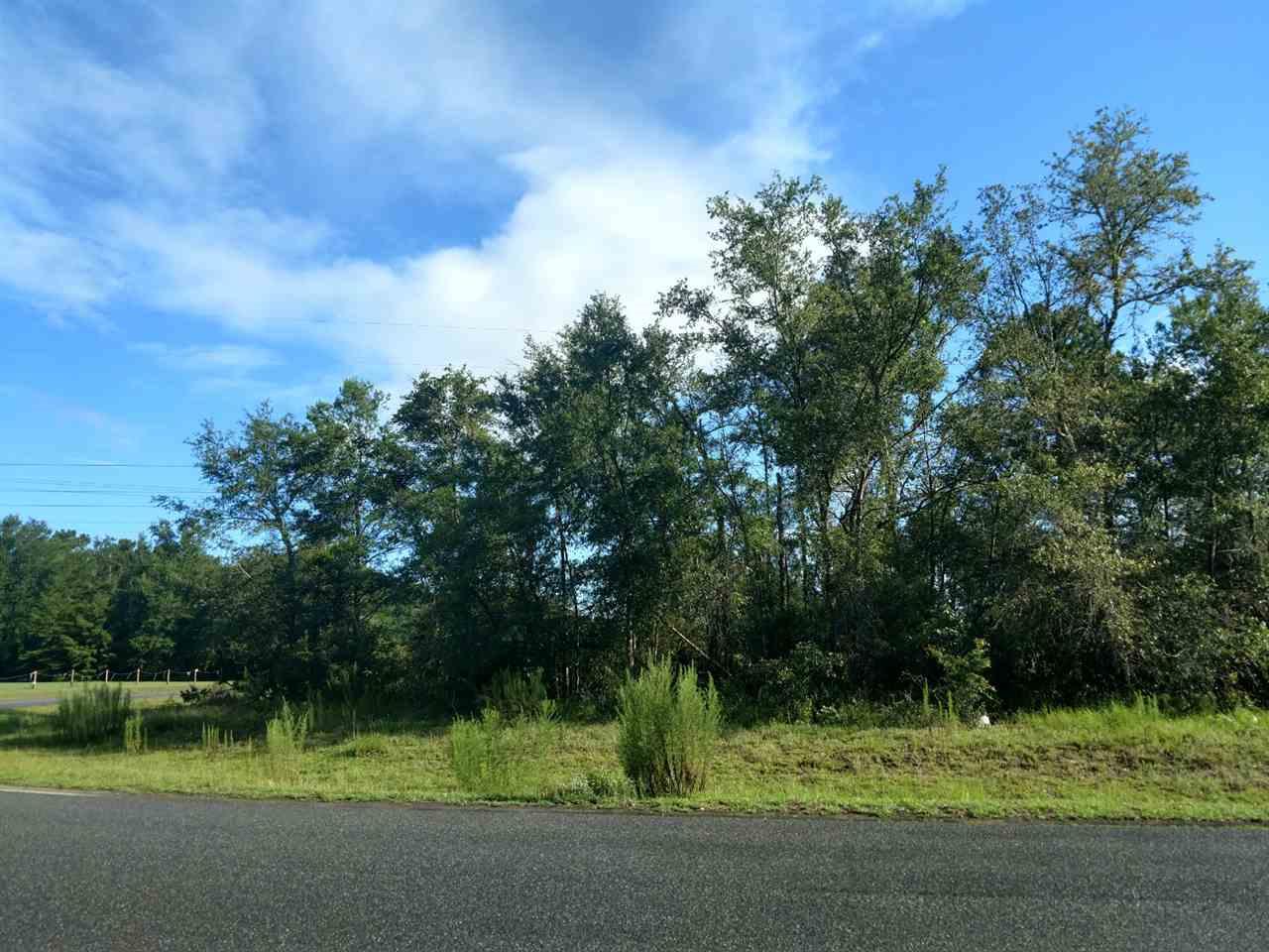 xx Savannah Forest - Photo 1