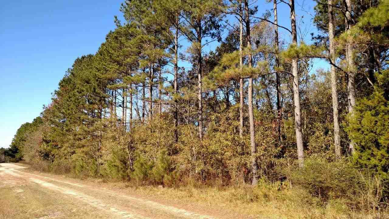 255 Garland - Photo 1