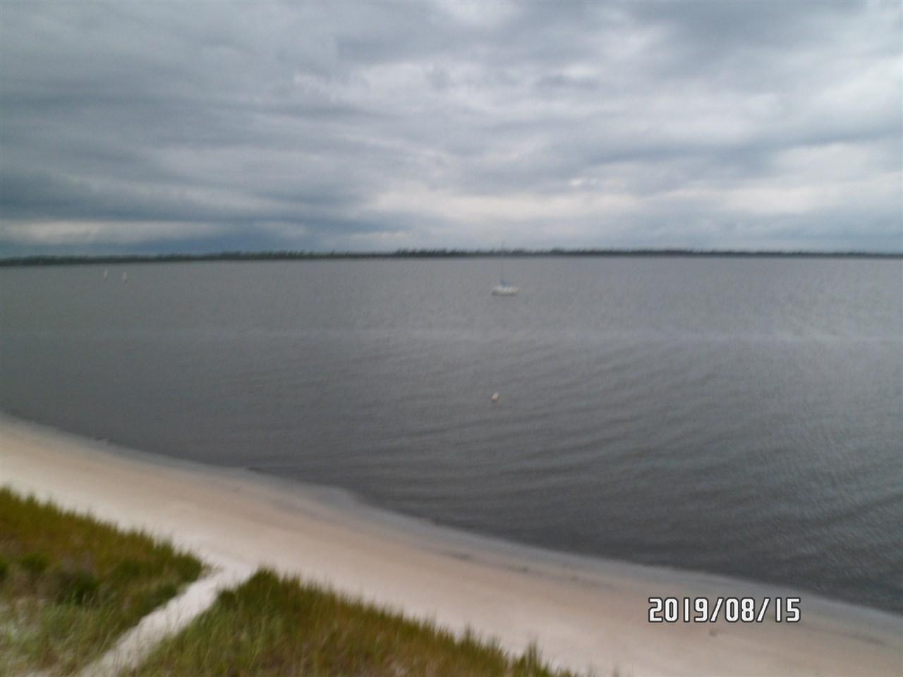 1648 Alligator - Photo 1