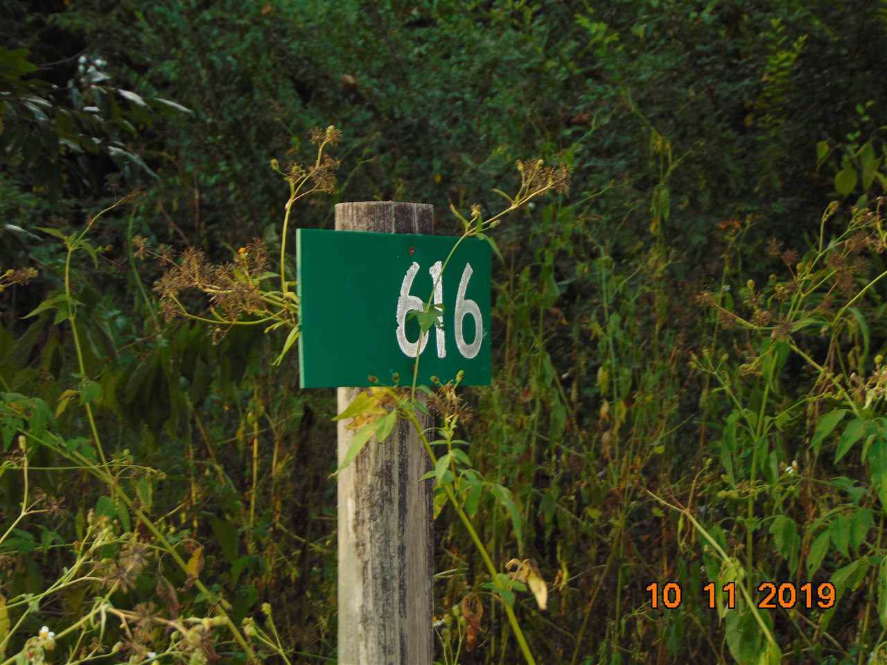 616 Tyson - Photo 1