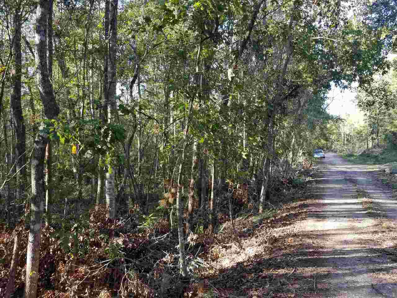 XX Cripple Creek Rd - Photo 1