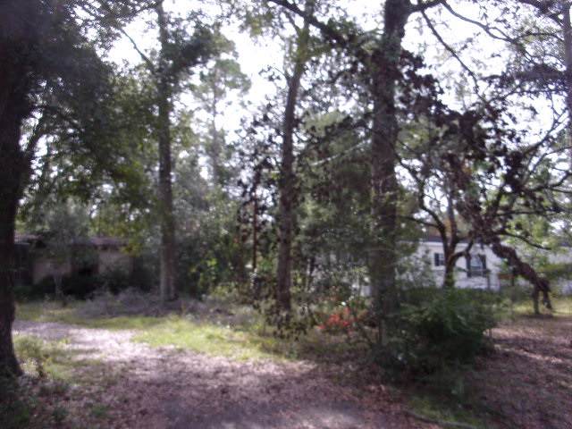 90 Arrow Trace - Photo 1