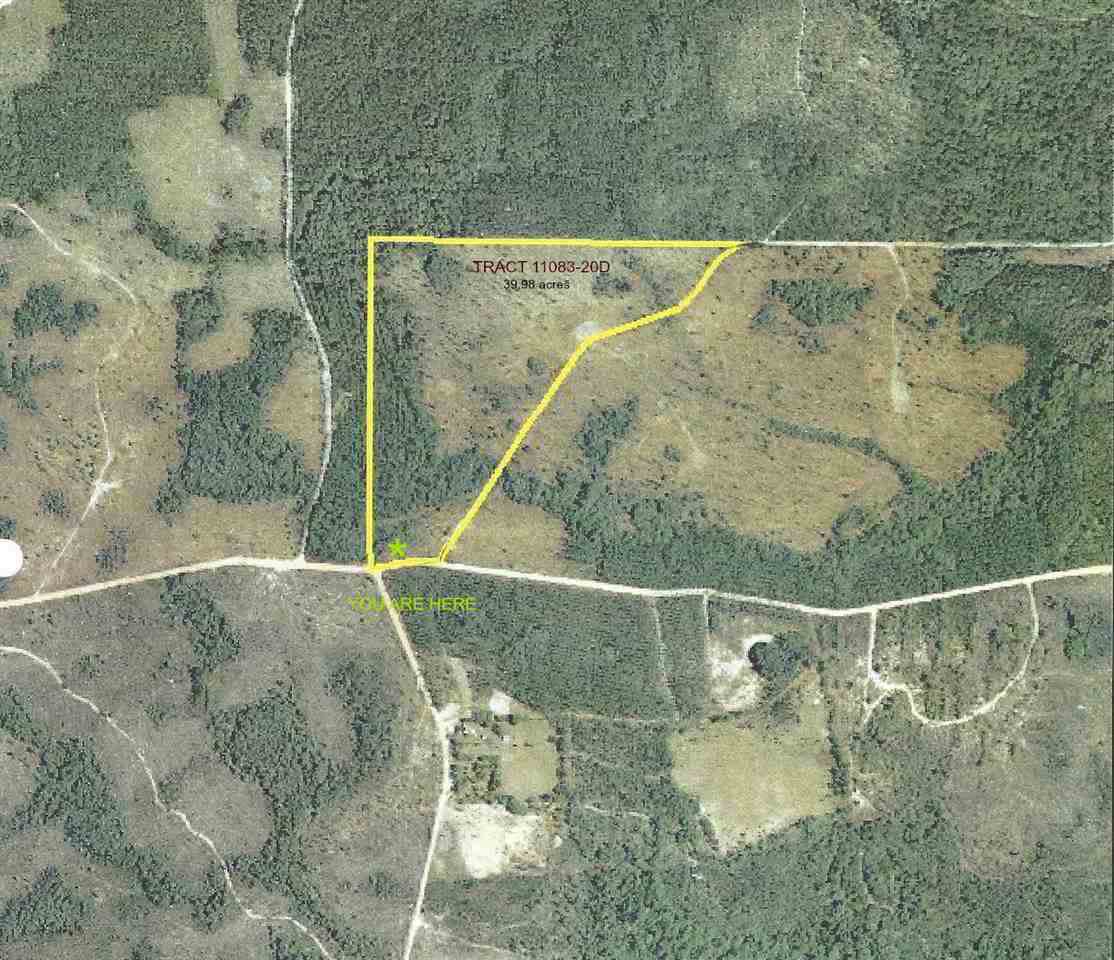 0 Fire Break 21 Road - Photo 1