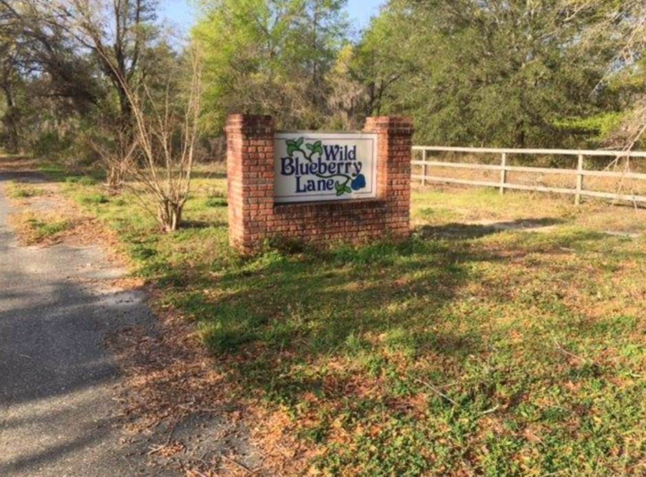 000 Wild Blueberry Lane - Photo 1