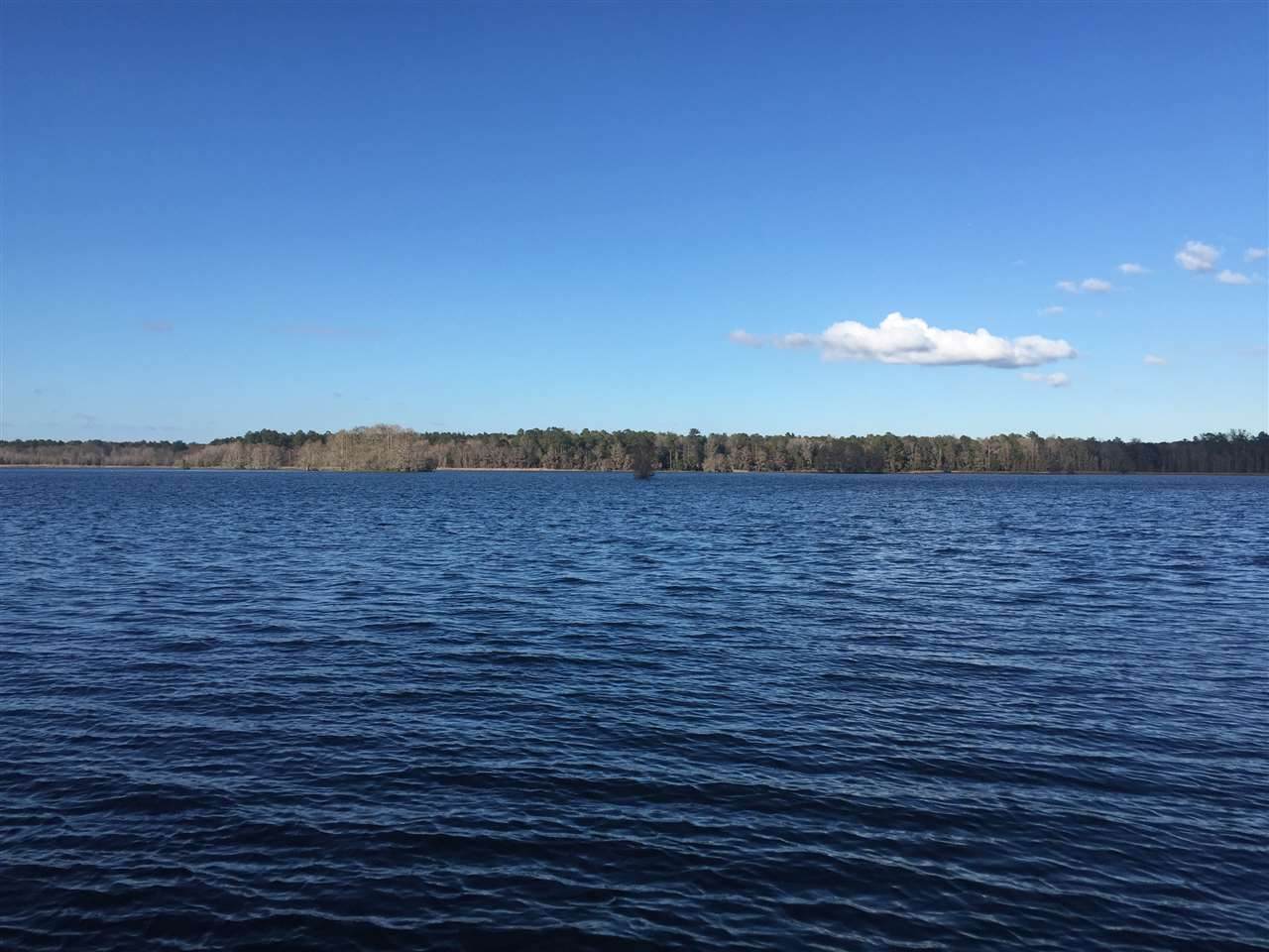 xxxx Williams Landing - Photo 1