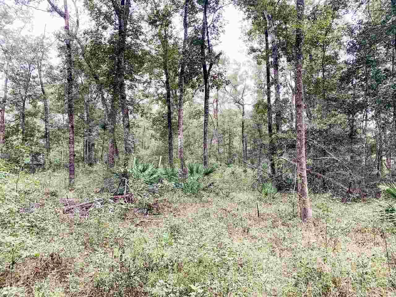 Vacant Boundary Bend Trail - Photo 1