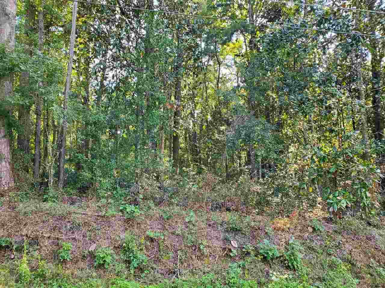 0 Collins Landing Road - Photo 1