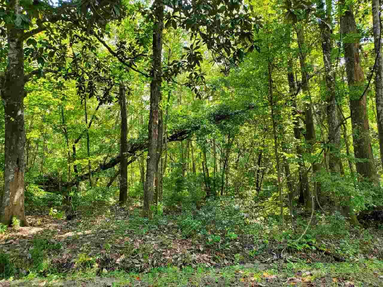 0 Collins Landing Road - Photo 1