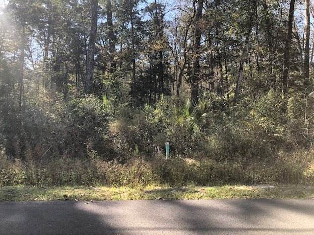 XX Blackfoot Road - Photo 1
