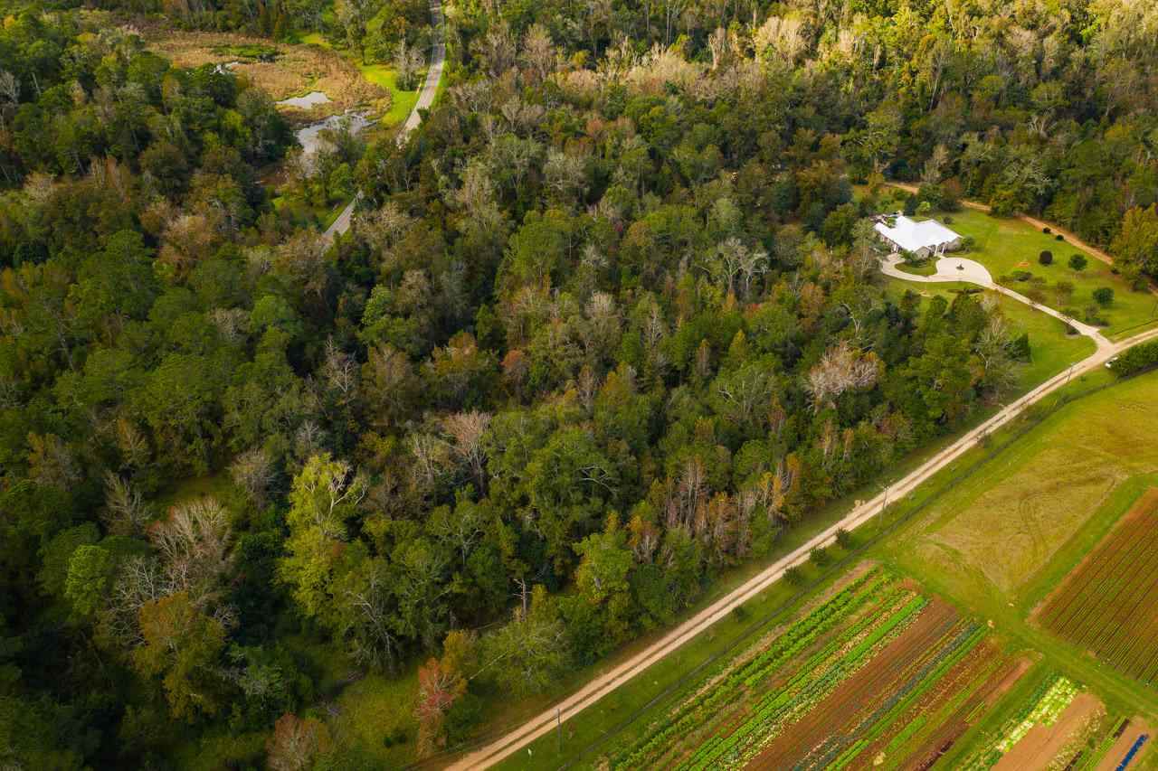 125 Upland Farm Road - Photo 1