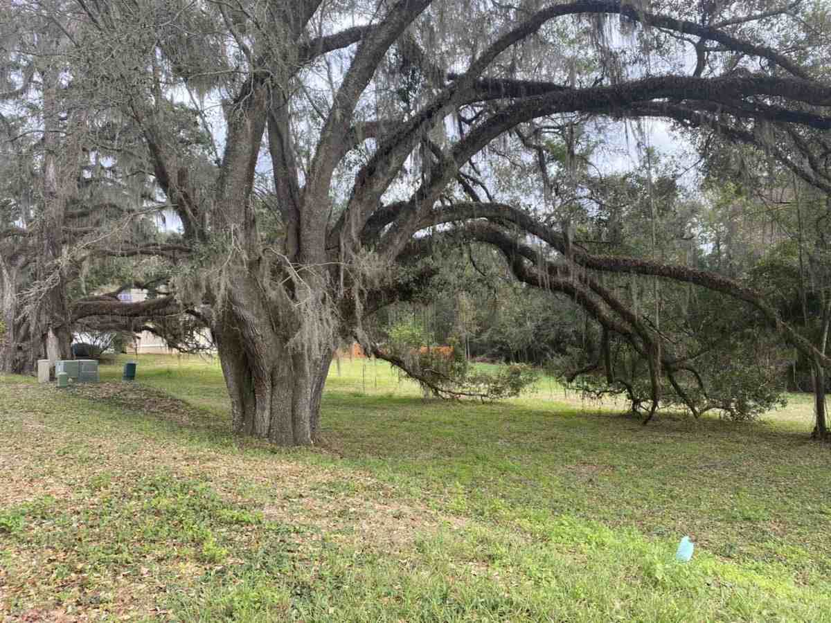 1645 San Damian Road - Photo 1