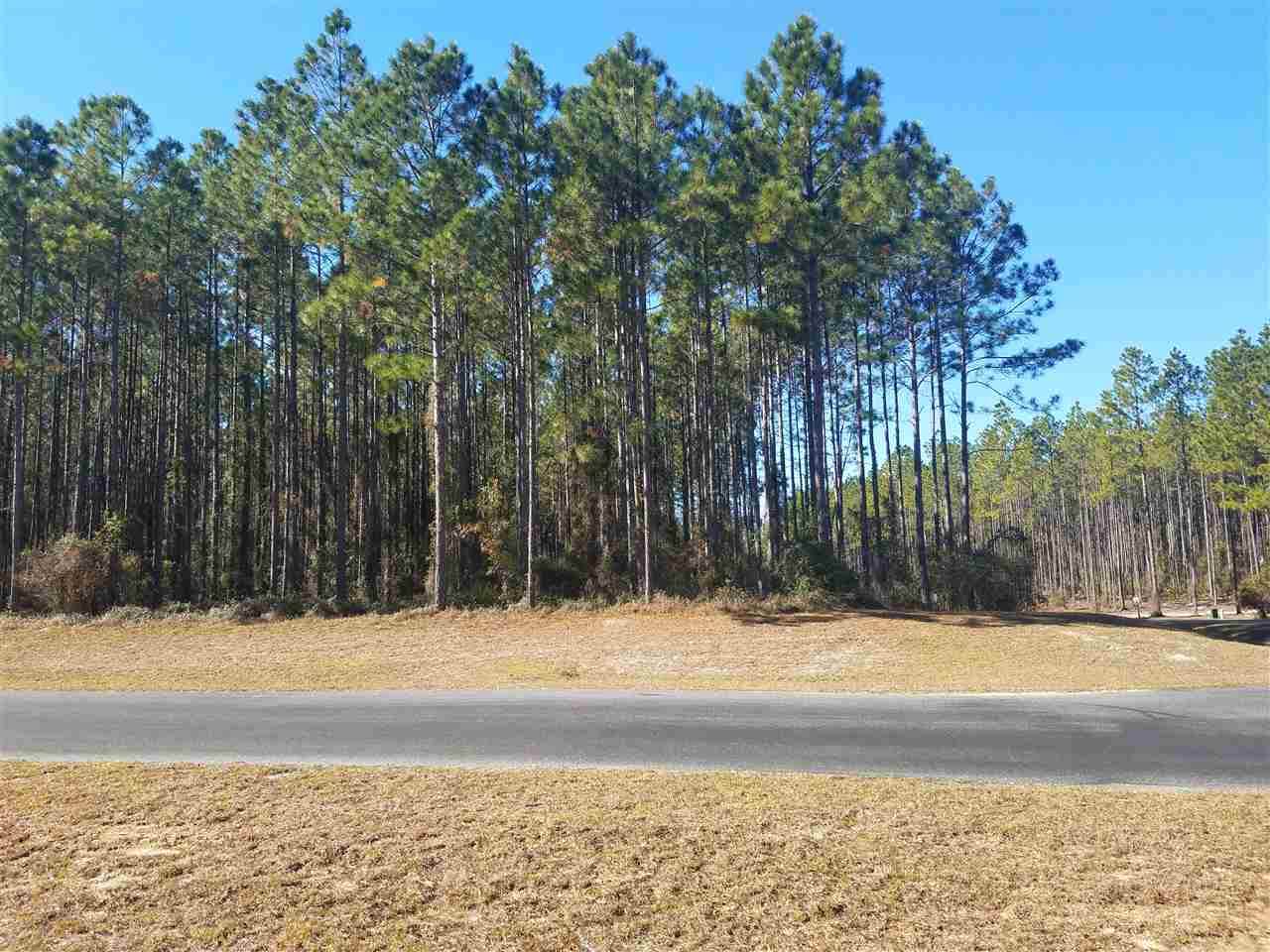 6991 Ranch Club Road - Photo 1