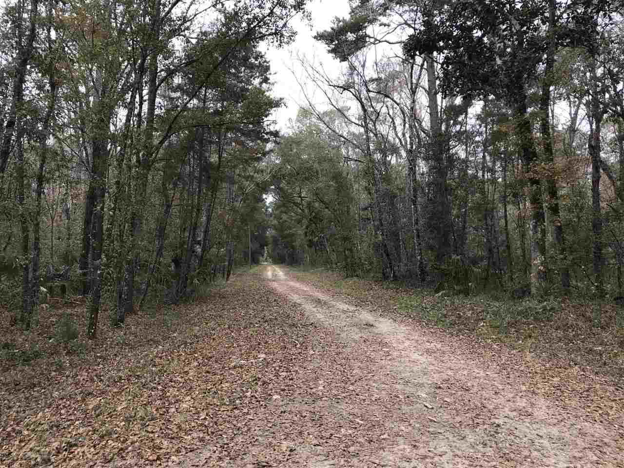 Lot 6 Stratton Lane - Photo 1