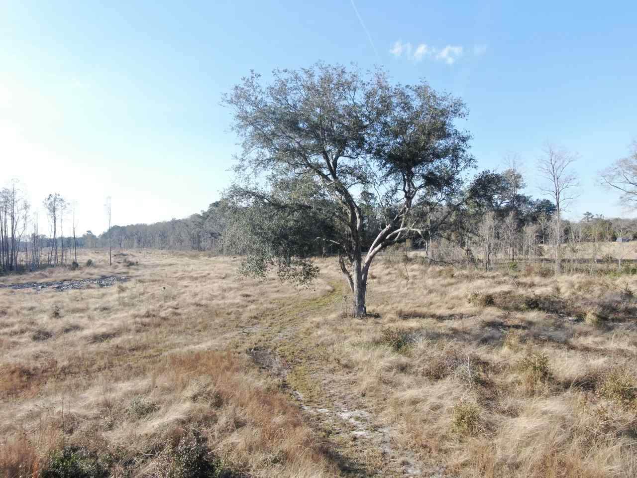 Vacant Erie Way - Photo 1