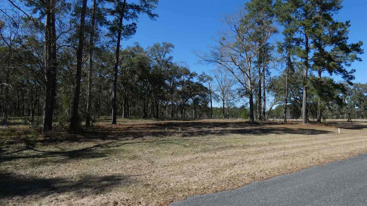 tbd Jefferson - Photo 1